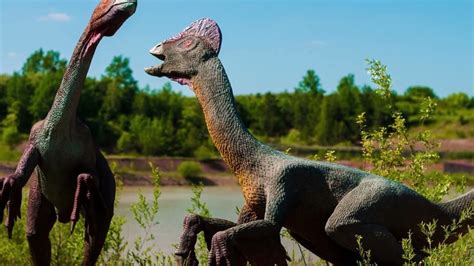 cloning dinosaurs